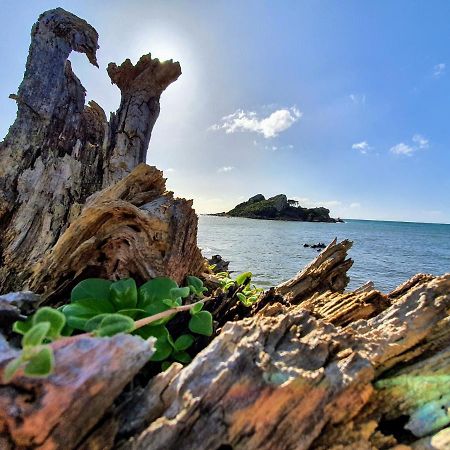 Goat Island Bungalow Ulverstone Bagian luar foto